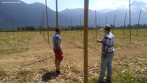 Two men standing on a farm with fences