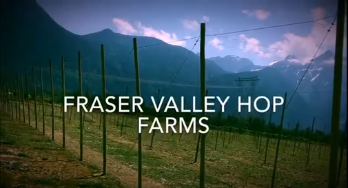 Mountains in the back of a field for fraser valley hop farms